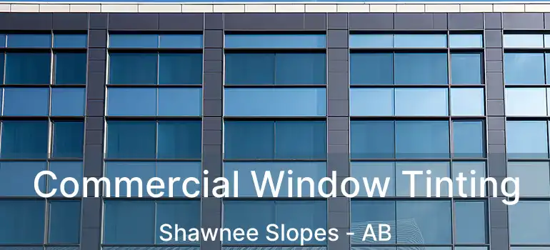  Commercial Window Tinting Shawnee Slopes - AB