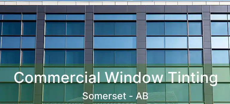  Commercial Window Tinting Somerset - AB