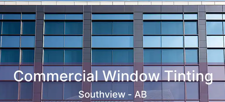  Commercial Window Tinting Southview - AB