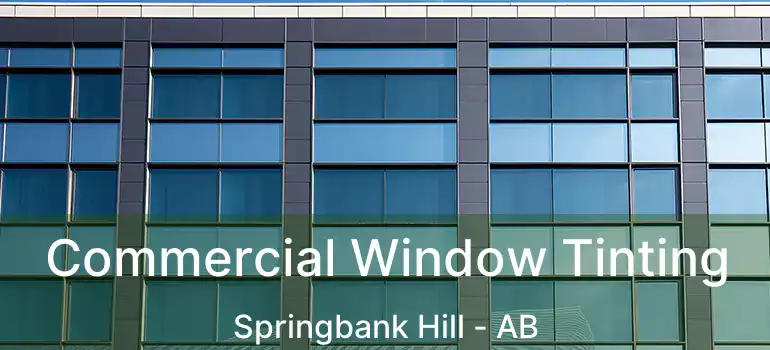  Commercial Window Tinting Springbank Hill - AB