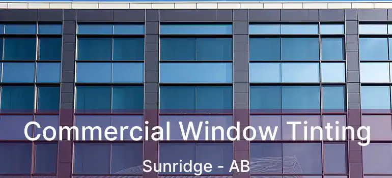  Commercial Window Tinting Sunridge - AB