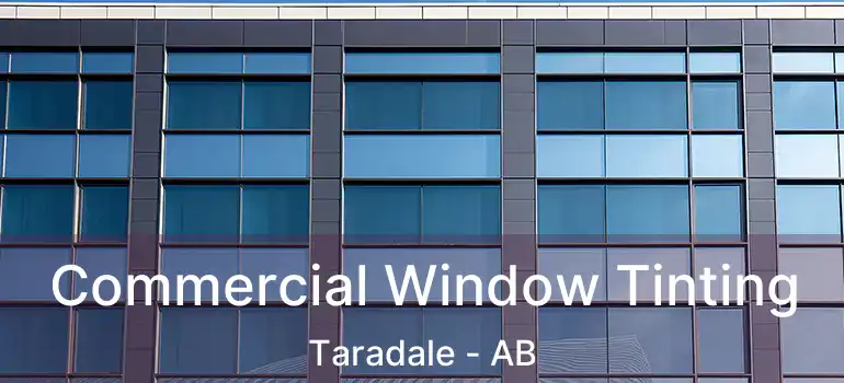  Commercial Window Tinting Taradale - AB