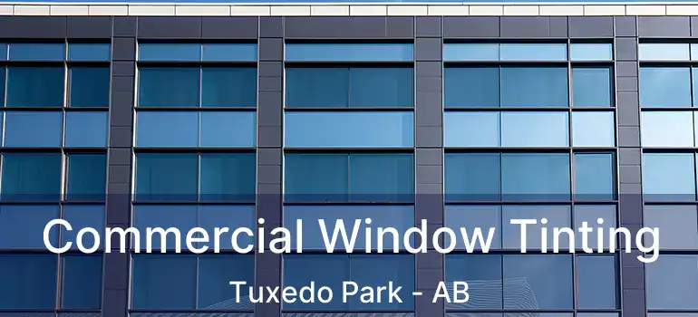  Commercial Window Tinting Tuxedo Park - AB