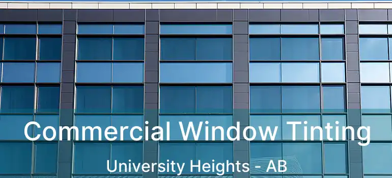  Commercial Window Tinting University Heights - AB