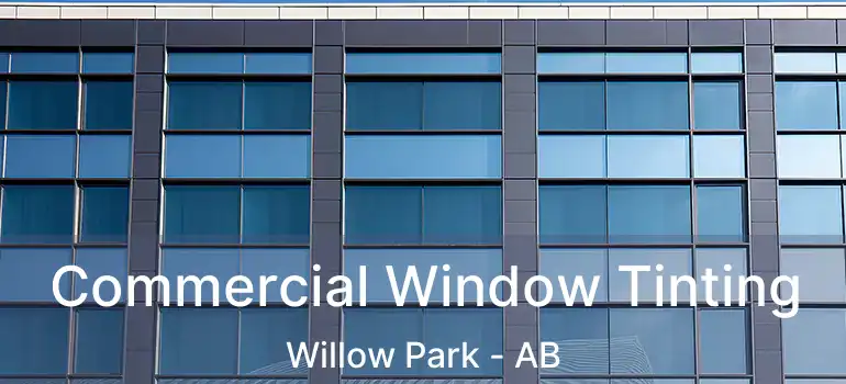  Commercial Window Tinting Willow Park - AB