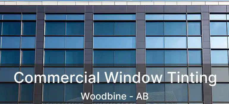  Commercial Window Tinting Woodbine - AB