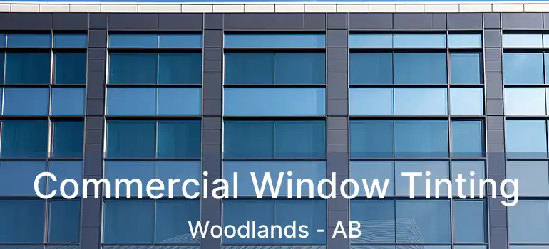  Commercial Window Tinting Woodlands - AB