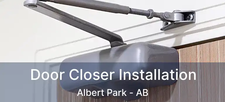  Door Closer Installation Albert Park - AB