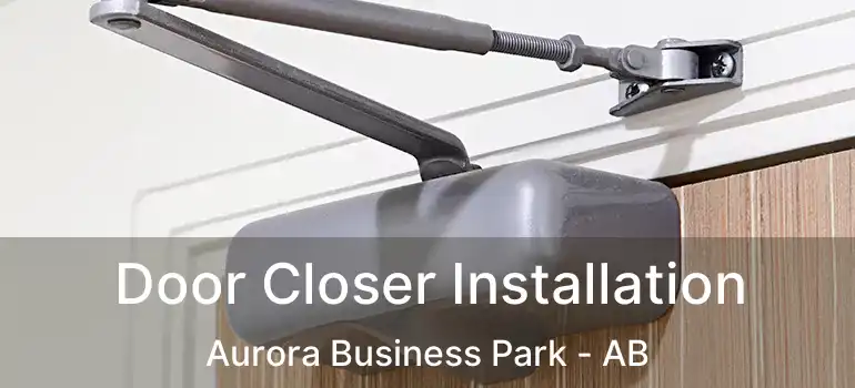  Door Closer Installation Aurora Business Park - AB