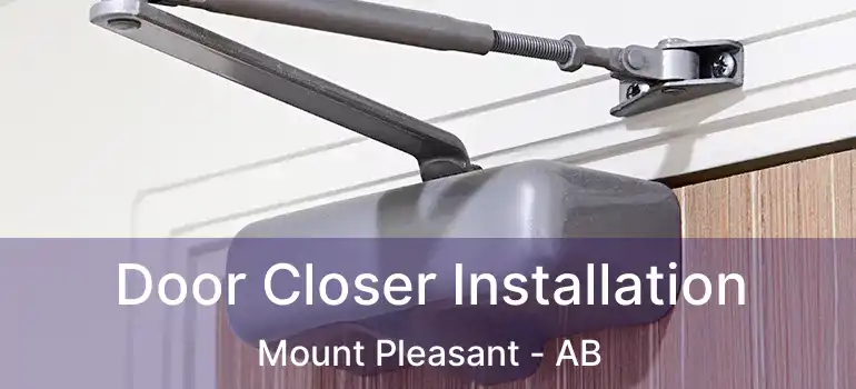 Door Closer Installation Mount Pleasant - AB