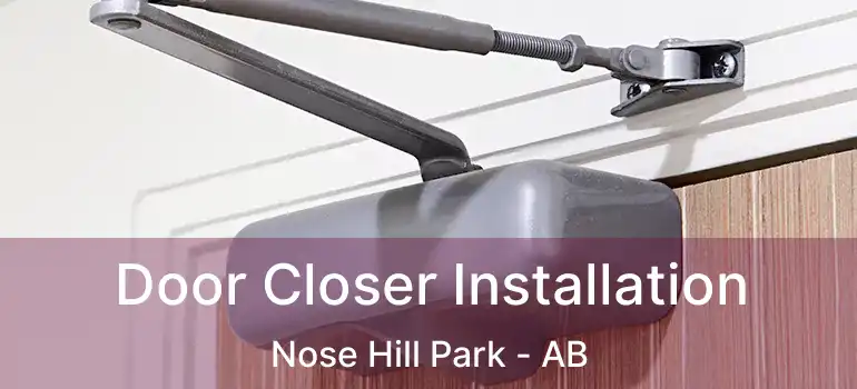  Door Closer Installation Nose Hill Park - AB