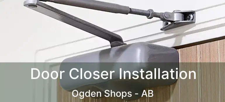  Door Closer Installation Ogden Shops - AB
