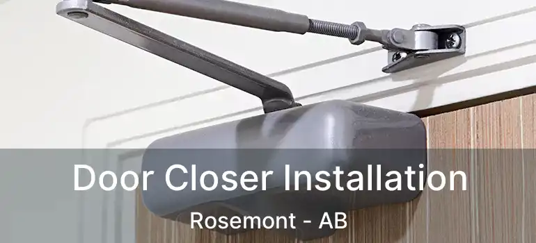  Door Closer Installation Rosemont - AB