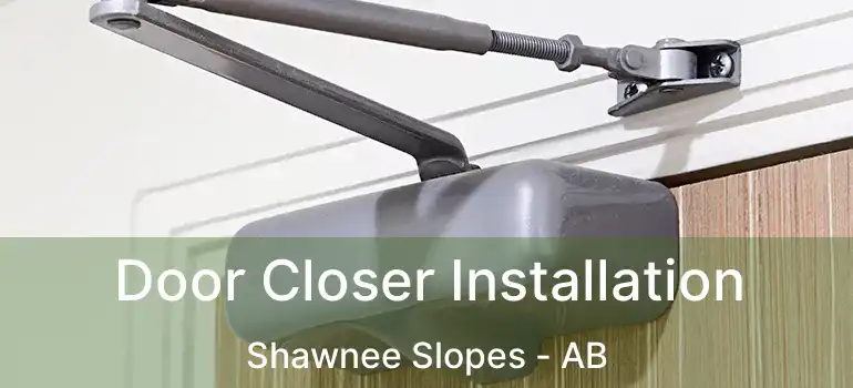  Door Closer Installation Shawnee Slopes - AB