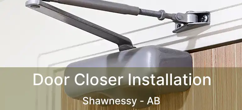  Door Closer Installation Shawnessy - AB