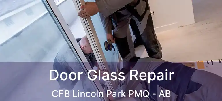  Door Glass Repair CFB Lincoln Park PMQ - AB