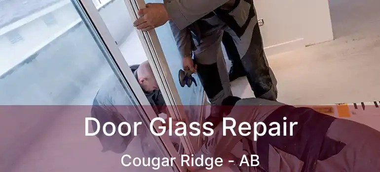  Door Glass Repair Cougar Ridge - AB