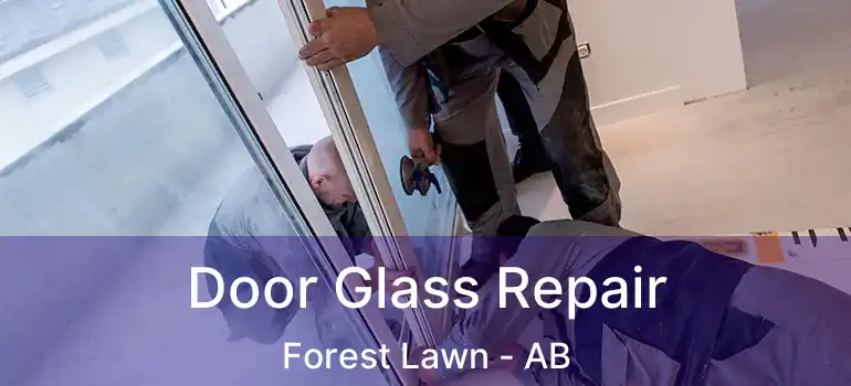  Door Glass Repair Forest Lawn - AB