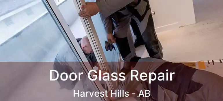  Door Glass Repair Harvest Hills - AB