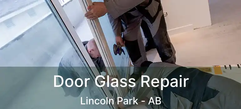  Door Glass Repair Lincoln Park - AB