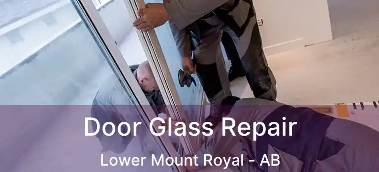  Door Glass Repair Lower Mount Royal - AB