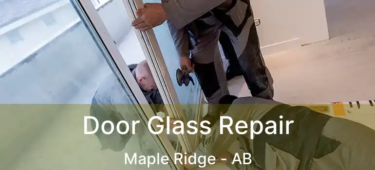  Door Glass Repair Maple Ridge - AB