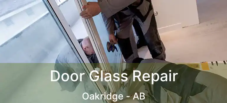  Door Glass Repair Oakridge - AB