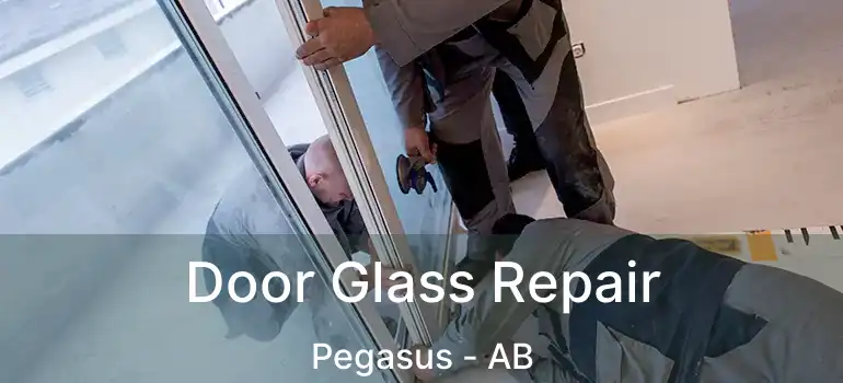  Door Glass Repair Pegasus - AB