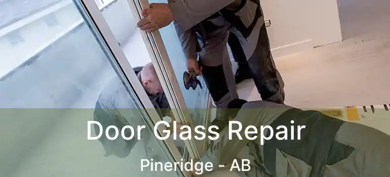  Door Glass Repair Pineridge - AB