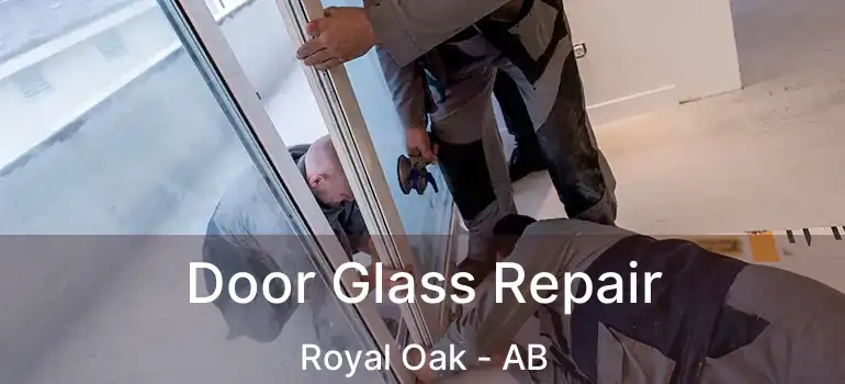  Door Glass Repair Royal Oak - AB