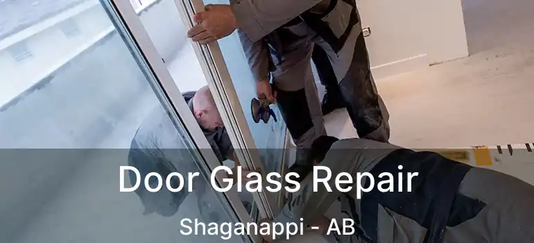  Door Glass Repair Shaganappi - AB