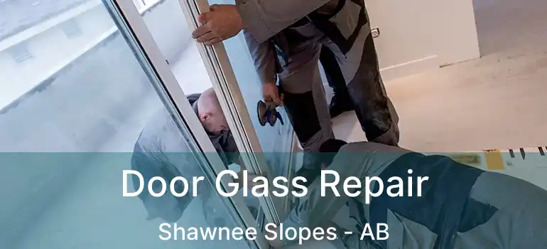  Door Glass Repair Shawnee Slopes - AB