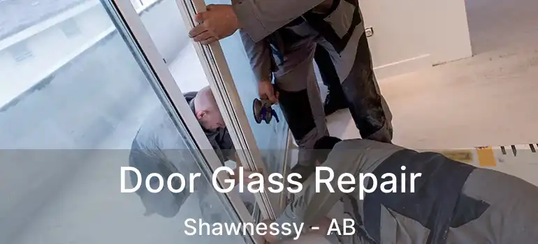  Door Glass Repair Shawnessy - AB