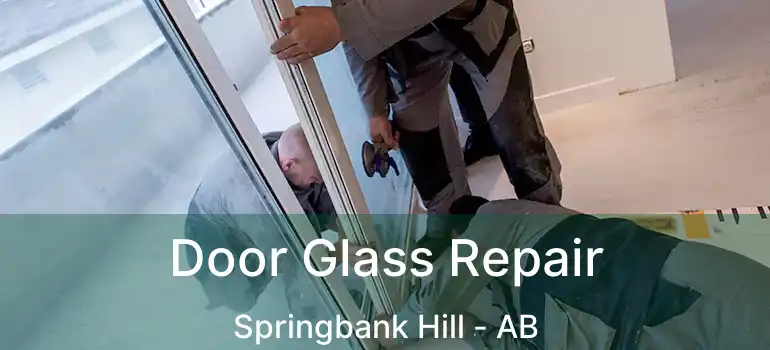  Door Glass Repair Springbank Hill - AB