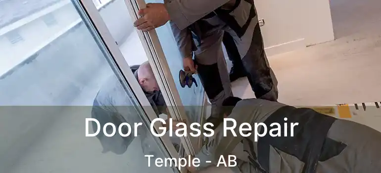  Door Glass Repair Temple - AB