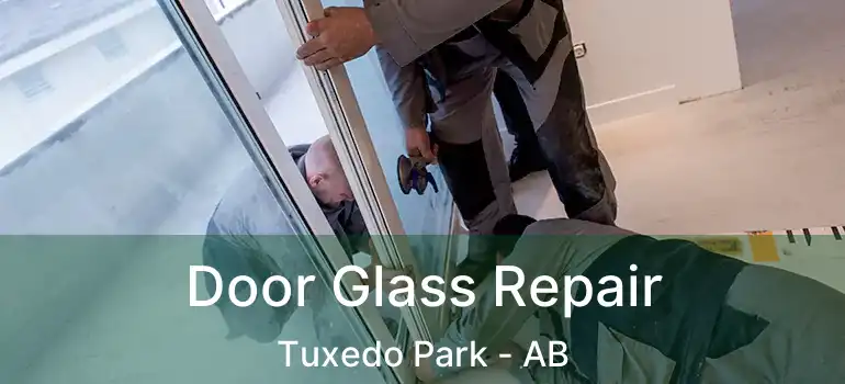  Door Glass Repair Tuxedo Park - AB