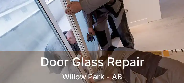  Door Glass Repair Willow Park - AB