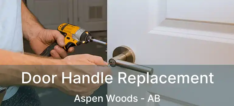  Door Handle Replacement Aspen Woods - AB