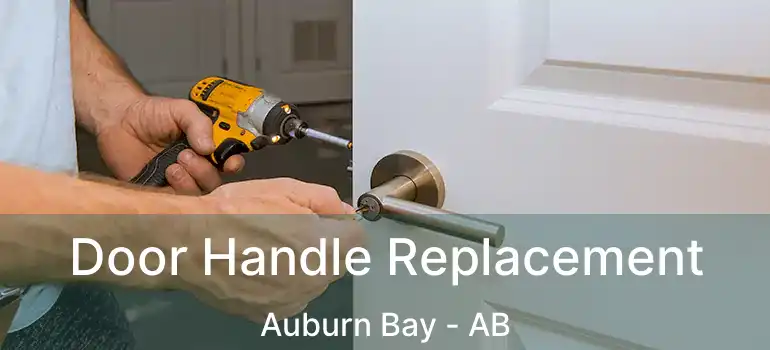 Door Handle Replacement Auburn Bay - AB