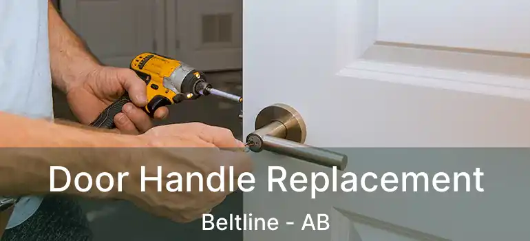  Door Handle Replacement Beltline - AB