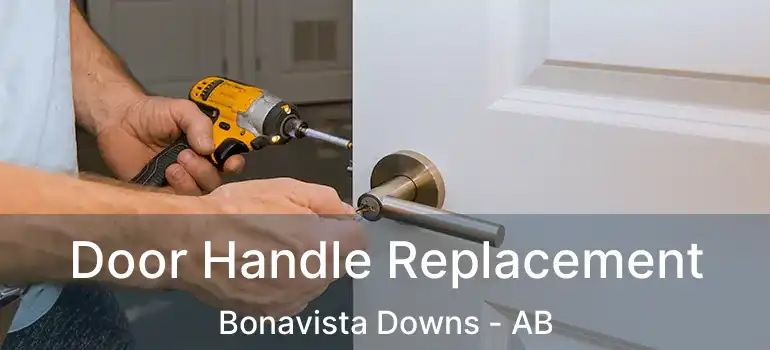  Door Handle Replacement Bonavista Downs - AB