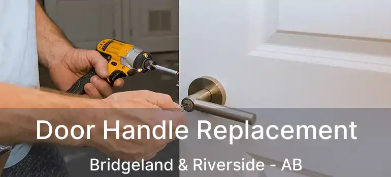  Door Handle Replacement Bridgeland & Riverside - AB