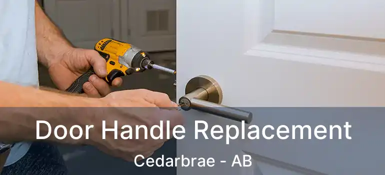  Door Handle Replacement Cedarbrae - AB
