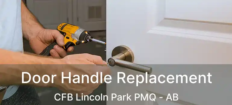  Door Handle Replacement CFB Lincoln Park PMQ - AB