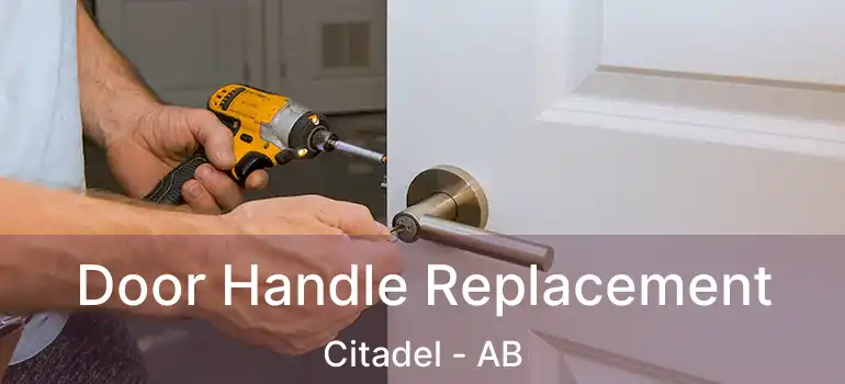  Door Handle Replacement Citadel - AB