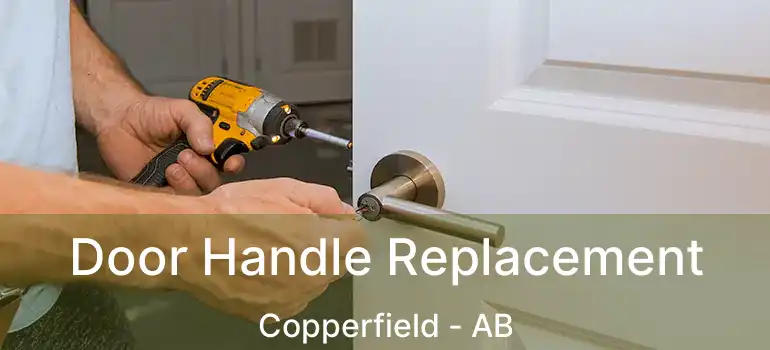  Door Handle Replacement Copperfield - AB