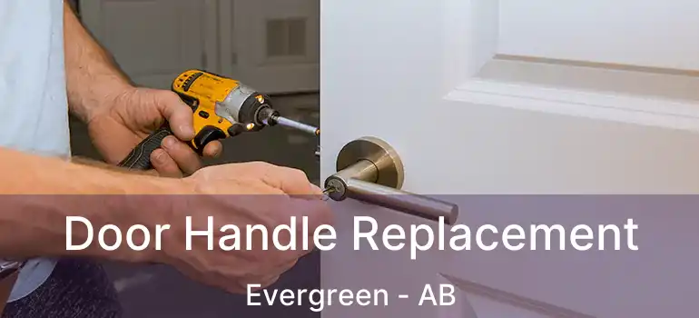  Door Handle Replacement Evergreen - AB