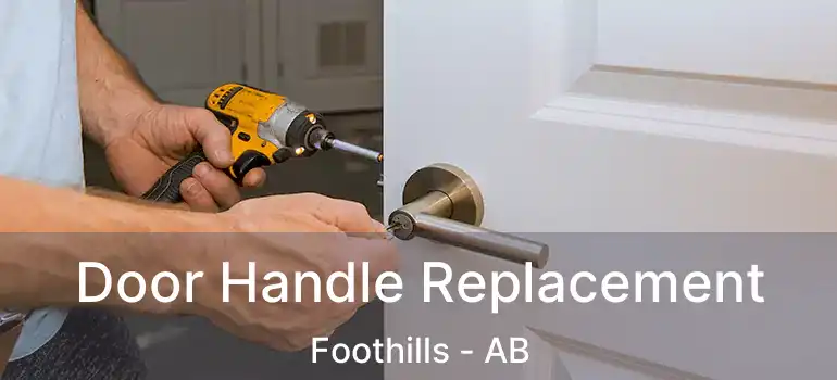  Door Handle Replacement Foothills - AB