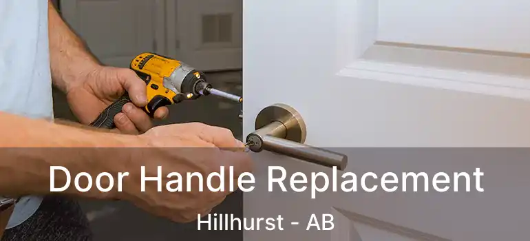  Door Handle Replacement Hillhurst - AB