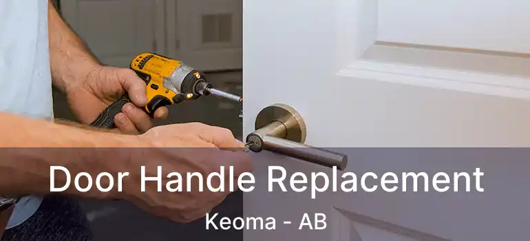  Door Handle Replacement Keoma - AB